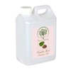 RADANYA Ayurveda RADANYA Ayurveda Perilla Seed Carrier Oil 100% Pure