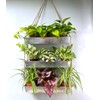 LaLaGreen Wall Hanging Planter - 16 Inch Wall Planters for