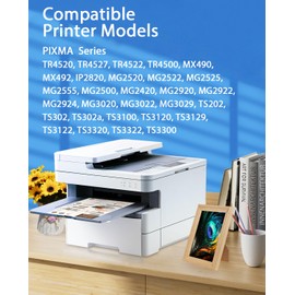 UPRIIN 245XL Ink Cartridges Replacement for 245XL Ink Cartridges Multipack Compatible for TR4520 TR4527 MX492 MX490 MG2520 MG2522 MG2525 MG2920 MG2922 MG3022 MG3029 TS202 TS302 TS3320