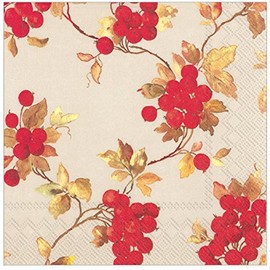 Boston International Ideal Home Range Papierservietten, 3-lagig, 20 Stück 6.5 x 6.5" Folded Red Beeren Leinen