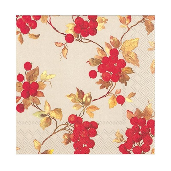 Boston International Ideal Home Range Papierservietten, 3-lagig, 20 Stück 6.5
