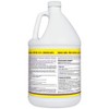 Simple Green Clean Finish Disinfectant - Gallon