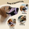 JOYPAWS Dog Muzzle, Air Mesh & Reflective Straps for Extra