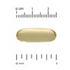 CGN 오메가3 프리미엄 피쉬 오일 1,100mg 100소프트젤 CGN Omega-3 Premium