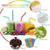 99 Pcs Plant-Based Reusable Straws with Cleaning Brush –Drinking Straws