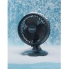 HOLMES BLIZZARD 7" Table Fan, 2 Speeds, 3 Blades, 85°