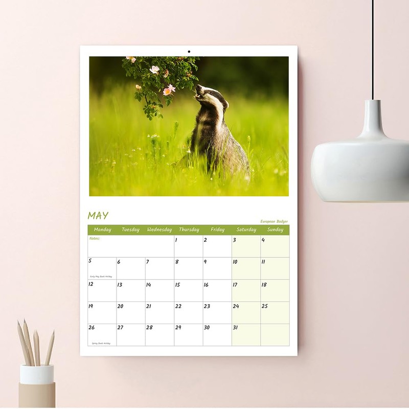 British Wildlife Calendar 2025 A4 Wall Calendar 2025 12 Month