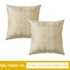 Q&J FABRIC CO. 2 Pack Velvet Throw Pillow Covers 18x18'',