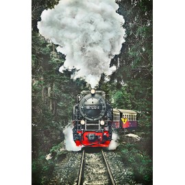 Pintoo Jigsaw Puzzles 600 Piece for Adults - The Steam Train, Switzerland Beautiful Plastic Puzzle for Home Decor Zero Dust Easy Storage [H2159]