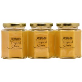 Just Makes Scents 3 Pack - Tropical Oasis Candles- Tropical Fruit Fragrance - Hand Poured in The USA (8 oz)