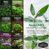 Hydroponics Herb Seed Collection for Planting - Curled Parsley, Sage,