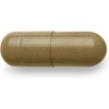 OLLY Beat The Bloat Capsules, Digestive Support Enzymes, Supplement for