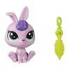 Hasbro Littlest Pet Shop Lucky Pets Fortune Cookie Surprise Pet
