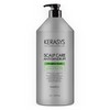 Kerasis Deep Scalp Cleansing Dandruff Clinic Shampoo, Clean & Fresh Scent, 1.5L, 1 Bottle / 케라시스 두피 딥클렌징 비듬 클리닉 샴푸 클린 앤 프레쉬향, 1.5L, 1개
