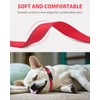 Joytale Small Dog Collar, Reflective and Adjustable Nylon Collar with