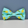 Summer Pineapple Dog Collar Dog Bowtie, Detachable Bow, Adjustable Collar
