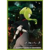 Chara Sleeve Collection Matte Series Black Rock Shooter DAWN FALL