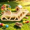 Noaxylic Versatile Scaletta per Criceti, Casetta per Criceti in Legno