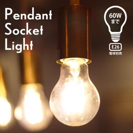 Pendant Socket Light PS03