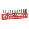 Genius Tools SB-711TP 11 Piece Star Screwdriver Bit Set