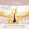 Cleo's Beauté | Mystic Woody Amino Acid Shampoo Hair Care