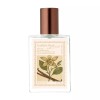 Atelier Pay [아뜰리에 페이]vanilla & musk 30ml Atelier Pay Vanilla
