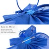 DRESHOW Fascinator Hats for Women Pillbox Hat with Veil Headband