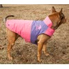 TOUCHDOG 'Lightening-Shield' Waterproof 2-in-1 with Removable Polar Fleece Lining Pet