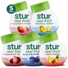 Stur Stur Liquid Water Enhancer | Classic Variety Pack |