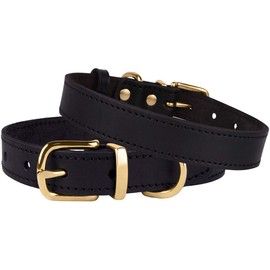 BRONZEDOG Leather Dog Collar Buckle Durable Pet Collars for Small Medium Large Dogs Puppy Cat Kitten Red Pink Purple Green Brown Black