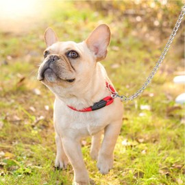 Jinlaili Heavy Duty Dog Lead Chain, Dog Chain Leads for Large Dogs Medium Dogs, 1.8M/6ft long, 4mm thick, Chew Proof Metal Dog Chain Leash with Comfortable Padded Handle