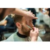 Schwertkrone Razor, Stainless Steel + 100 Half Derby Interchangeable Blades
