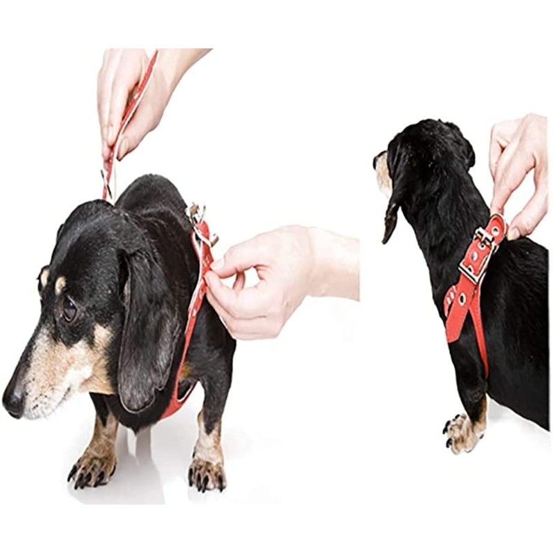 BUDDY BELT Buddy Belts Harness Pebble Grain Red - Premium