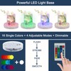 LARDUX Pack of 4 LED Lights Base with Remote -