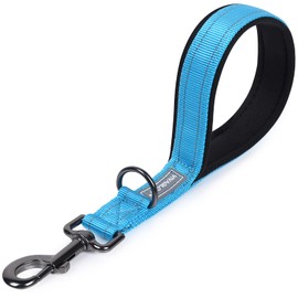 VIVAGLORY Short Lead Dog Lead Short Nylon Lead Medium Large Dogs Short Lead Metal Clip Dog Lead with Short Lead, 32 cm Length 2.5 cm Width, Lake Blue