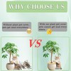 Medonala Bamboo Plant Pot Cover，Indoor Plant Protector from Animals,Flowerpot Decorative