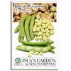 "Broad Windsor" Fava Bean Seeds for Planting, 25 Heirloom Seeds