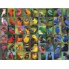 New York Puzzle Company - Cornell Lab Rainbow of Birds