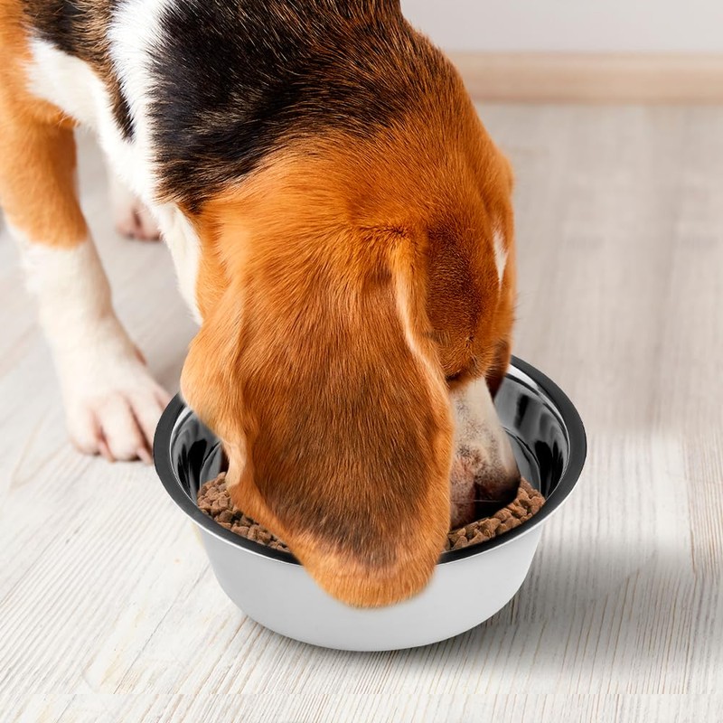 Fancy Pets Plato de Acero Inoxidable Antiderrapante para Perro con