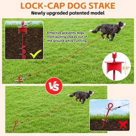 Snagle Paw Dog Tie Out Cable & Stake with Lock Cap - 30ft Heavy Duty Rust Proof Cable, 360° Swivel Dog Yard Leash & Stake Up to 220 lbs - Ground Anchor for Yard, Beach, Camping & Outdoor Use
