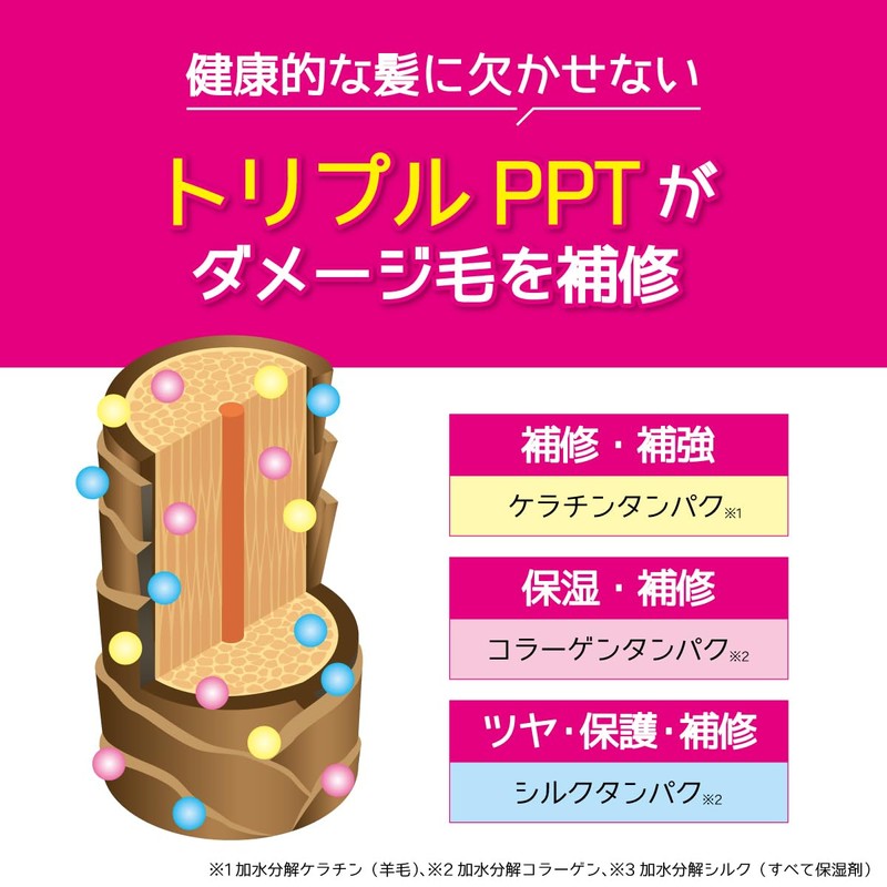 Tottimo! Color Shampoo, Pink, 16.9 fl oz (500 ml)