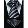 HISDERN Lot 5 PCS Classic Formal Elegant Men's Silk Tie