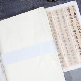 100Pcs Rice Paper Sheets, Cicada Wing Paper, Ancient Bamboo Pulp Handmade Rice Paper for Crafts, Vegetation Dyed Retro Semi-Raw for Calligraphy, Painting & Crafts (White, 9.4 * 15.7in)
