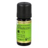PRIMAVERA Rosemary Camphor Organic 100% Natural Essential Oil, 10 ml