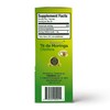 SALUTARI Moringa Tea – Premium Moringa Tea Bags – Flavorful