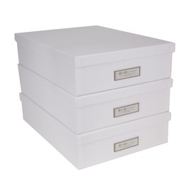 Bigso Oskar Fiberboard Label Frame Document Letter Box - File Organizer Box for Important Paperwork - Document Storage with a Lid & Metal Label Window - 3.3 in x 10.2 in x 13.8 in - 3 Pack - White