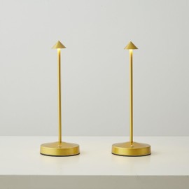 2 PACK Cordless Lamps,Battery Rechargeable Table Lamp,Portable Lamps,2 Level Brightness Dimmable Night Light,Minimalist Design,Cordless Table Lamps for Living Room/Restaurant/Couple Dinner(Gold)