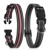 DTCOLLAR Reflective Dog Collar, Soft Nylon Puppy Collar with Buckle