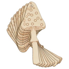 10x Wooden Tall Red Mushroom Amanita Muscaria Craft Shape 3mm Ply ToadStall(10 x 4cm,Hole Top Centre)