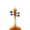 SILVIO 4/4 Adult Full Size Violin Art Pattern Backplate Violin